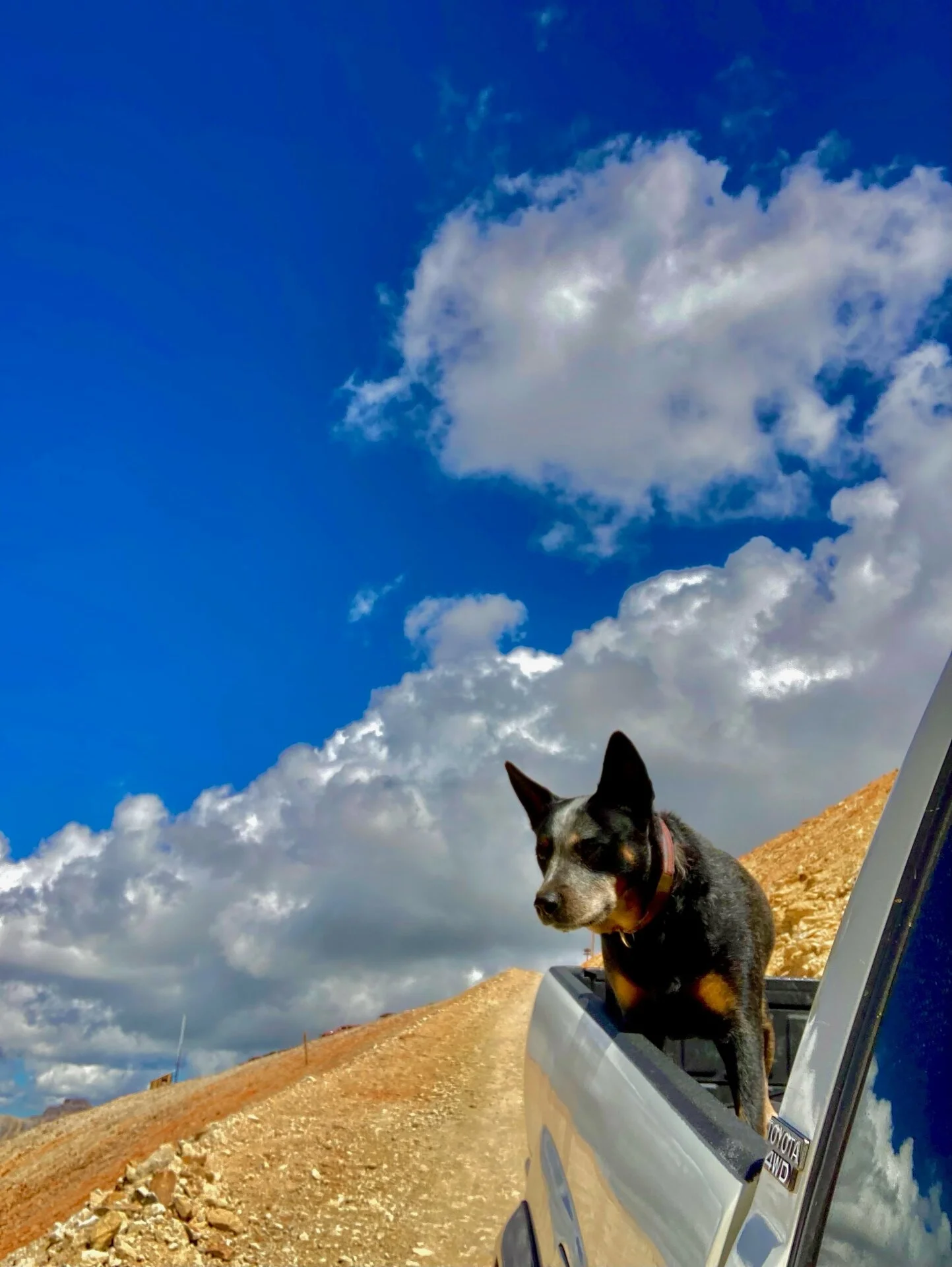 8E25365C-9D5B-44F1-9AC0-EC1040957387.webp