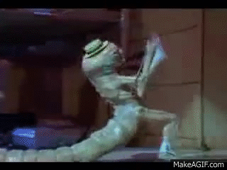 8moKnv.gif