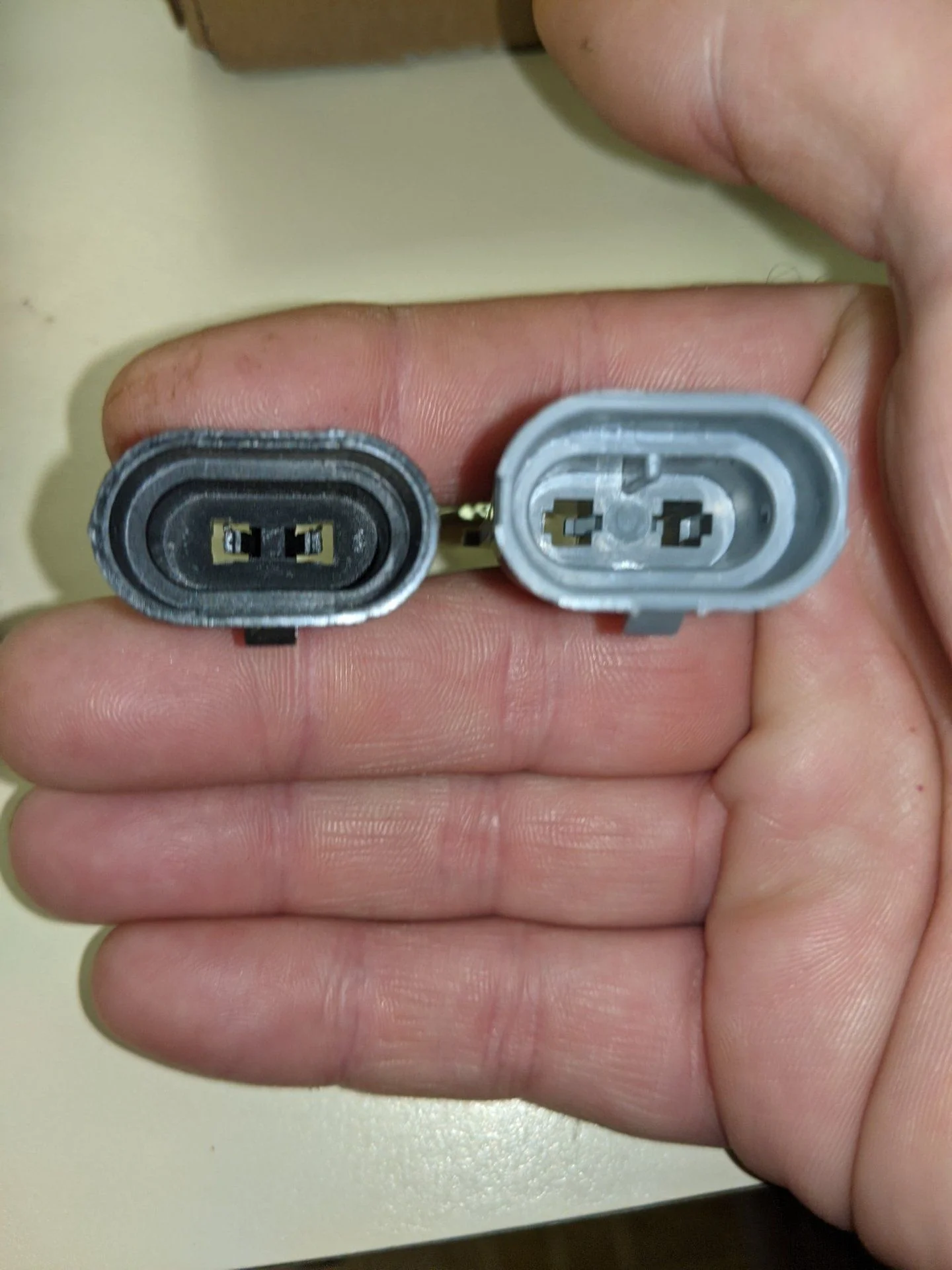 9006 male1.jpg