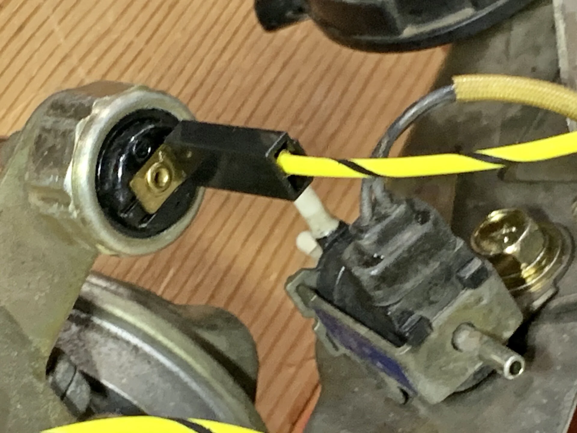 90BF554E-FFC9-402F-A41E-791F5174566F.jpeg