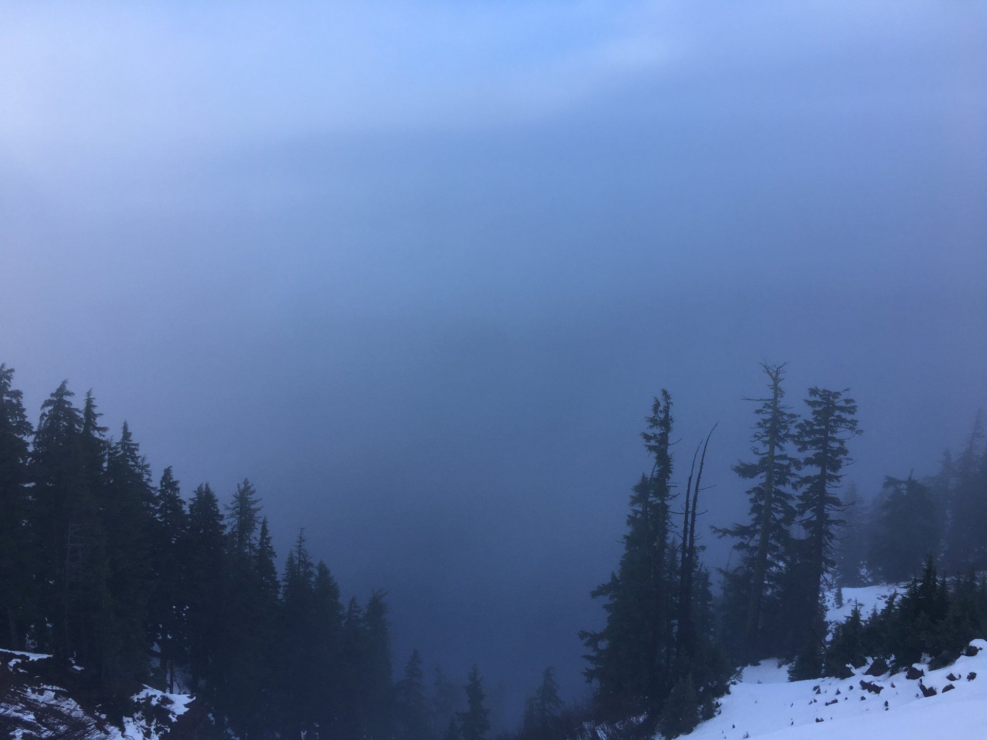 9307F96D-F9F5-4E6B-A214-96AF062D9A4A.jpeg