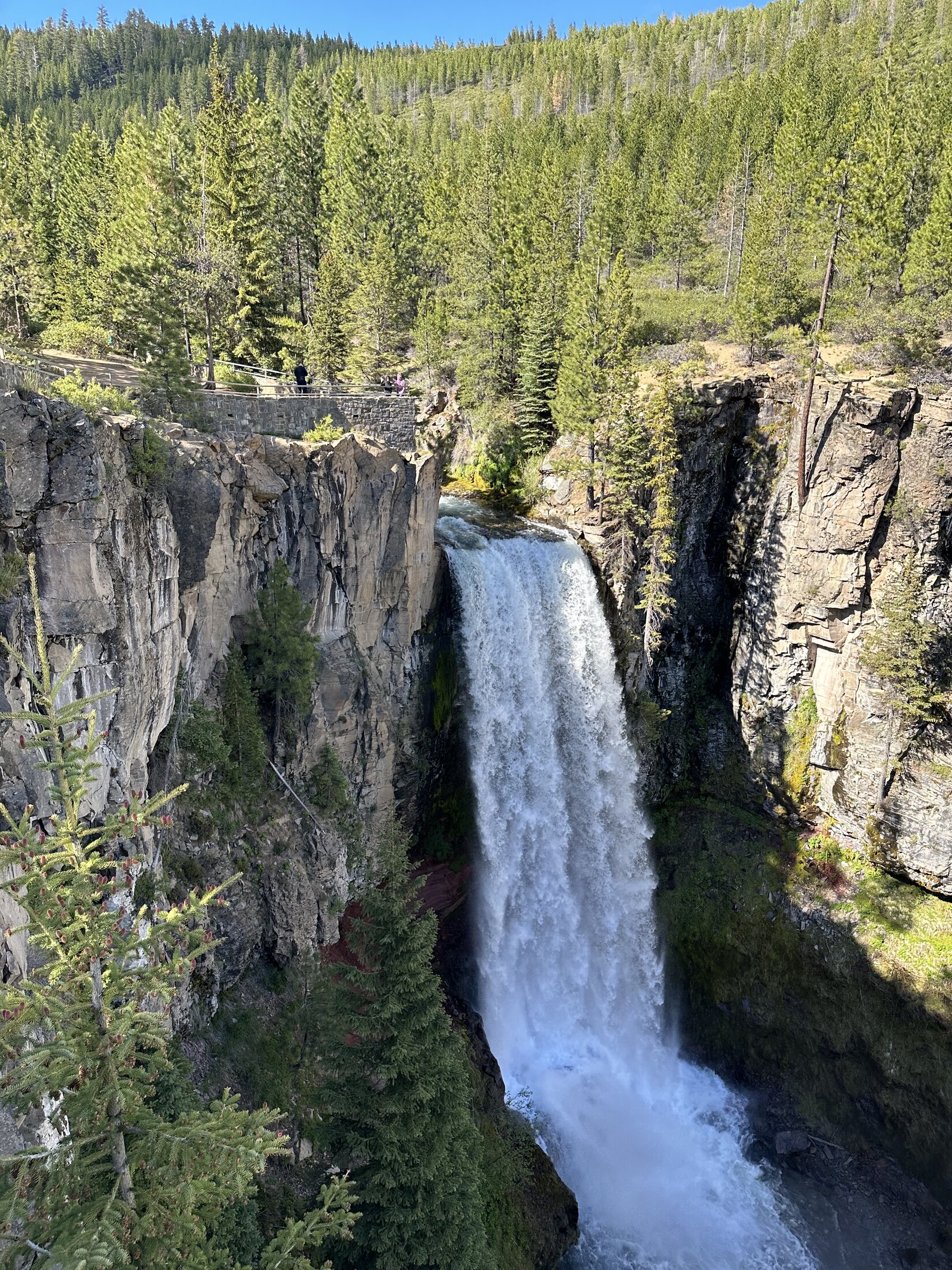 97520AF2-6C58-473E-A19A-D6298DF0F480.jpeg