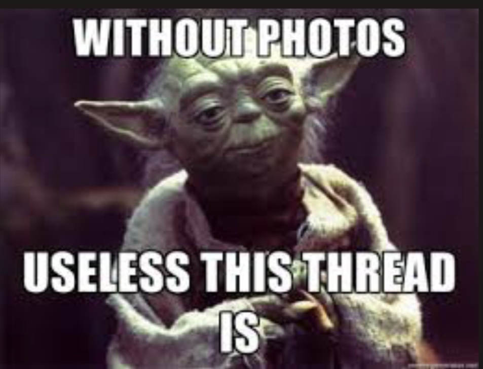 998EFACB-C564-45AC-BF03-2E599A53F01C.jpeg