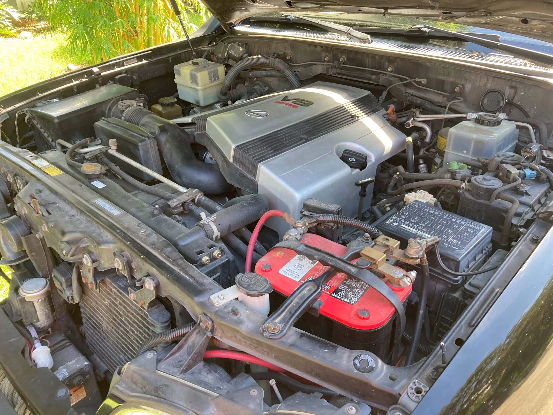 99_LX470-2.jpg