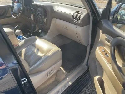 99lc 5.jpg