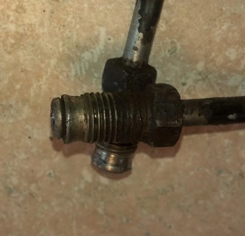 9mm ferrule mushroom2.webp