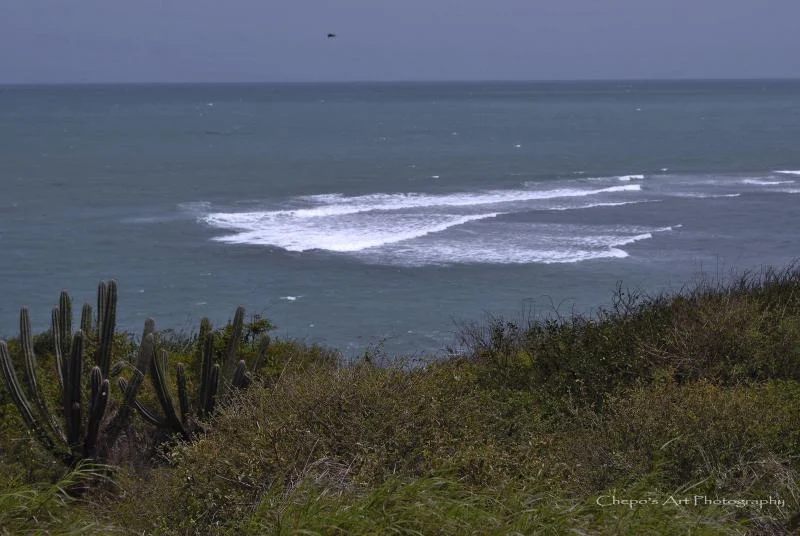 _DSC0062.webp