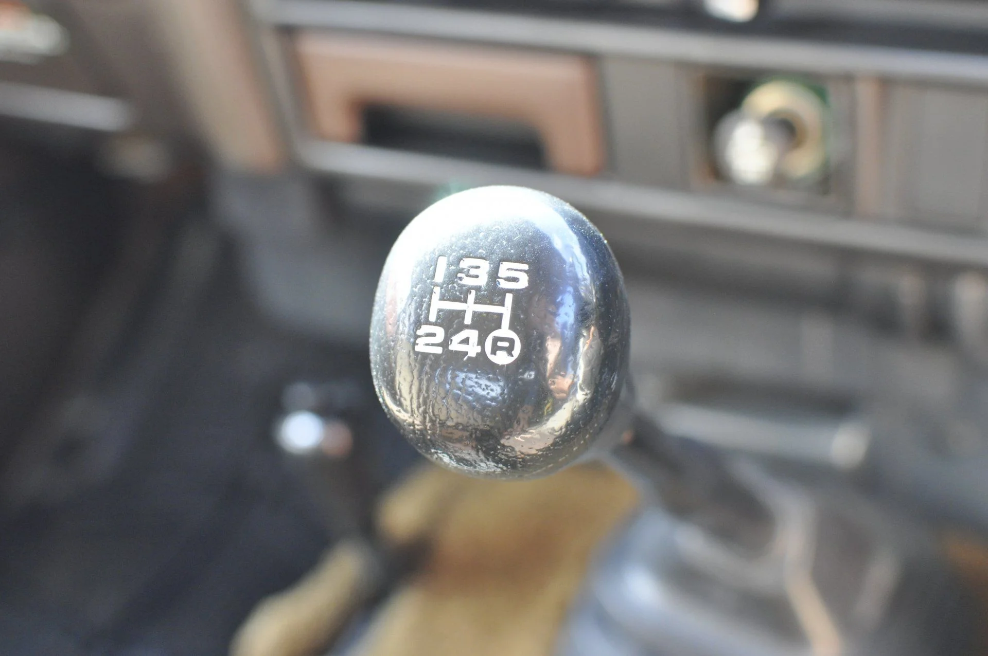 _DSC0692.webp