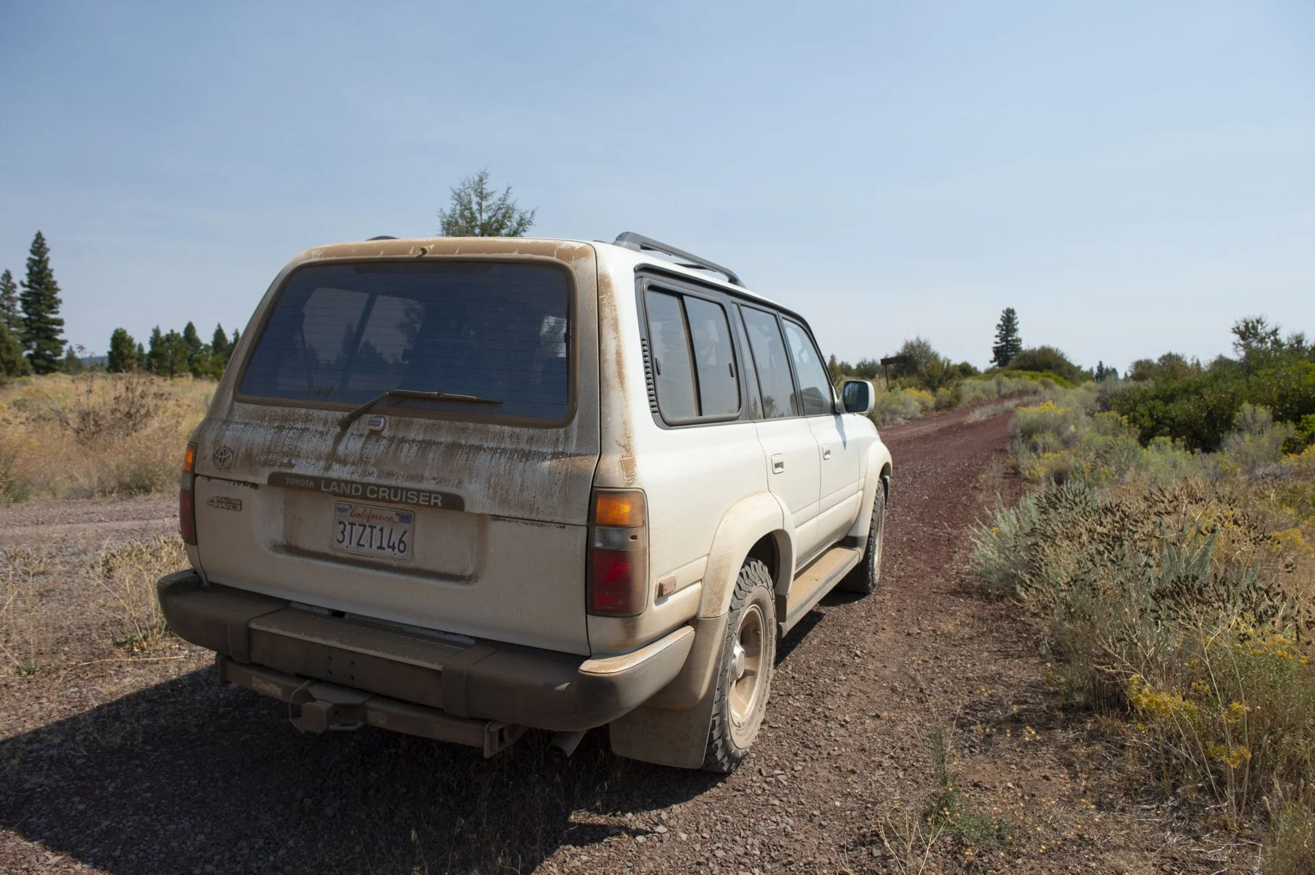 _DSC5426.webp