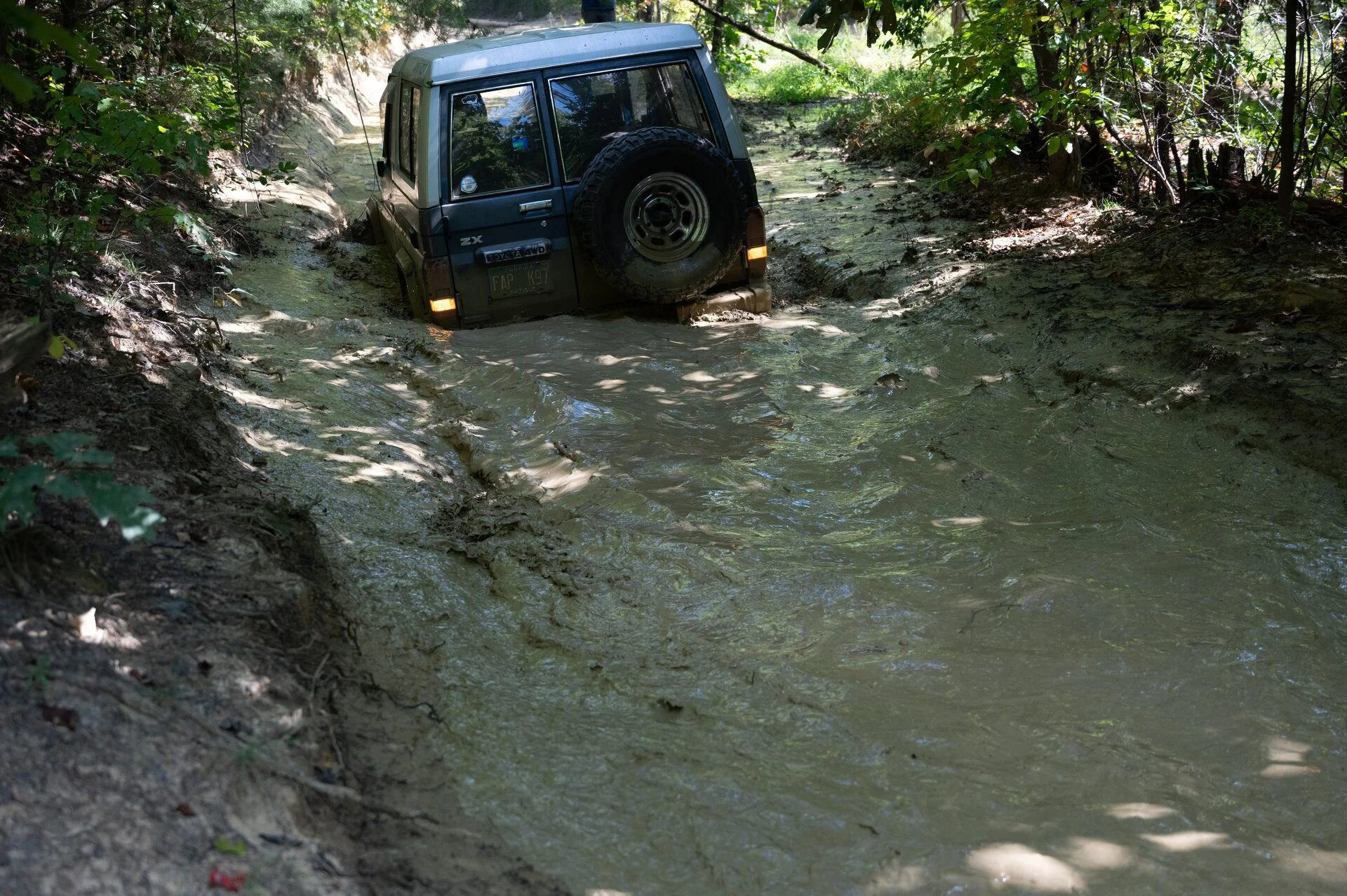 _DSC6150.webp