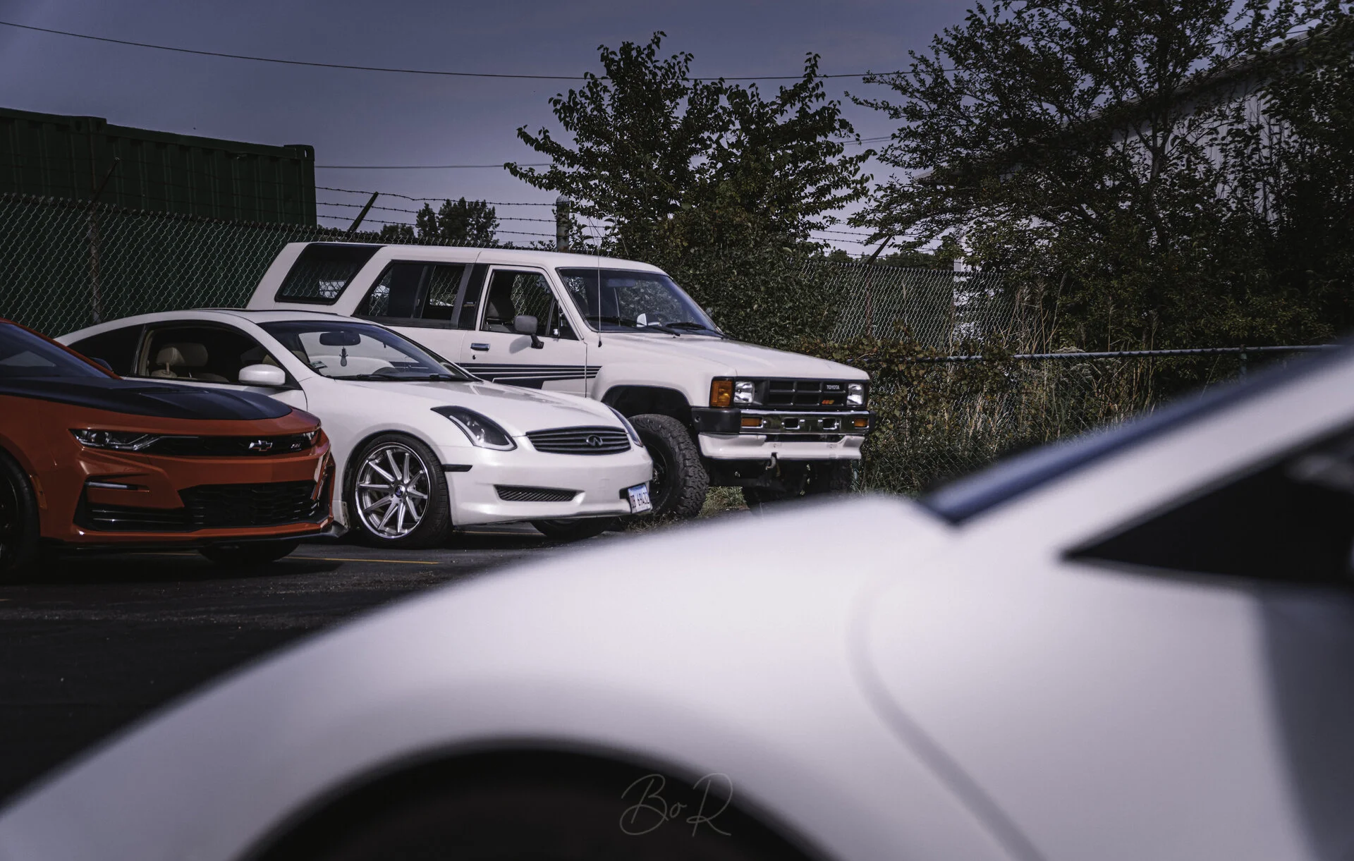 _DSC6517.webp