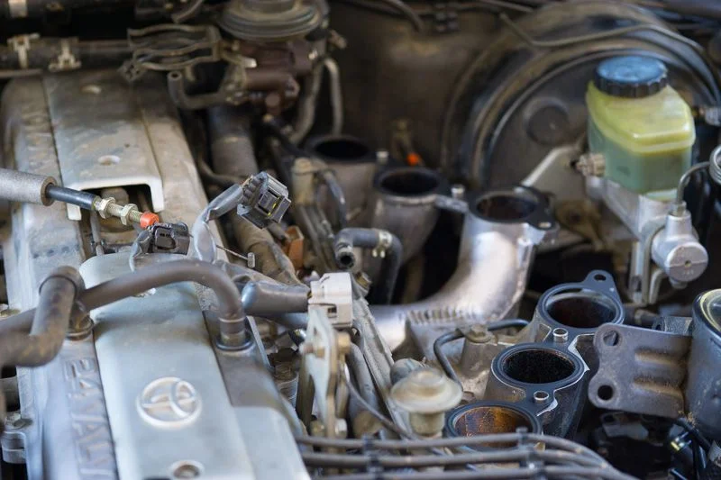 _DSC6897.webp