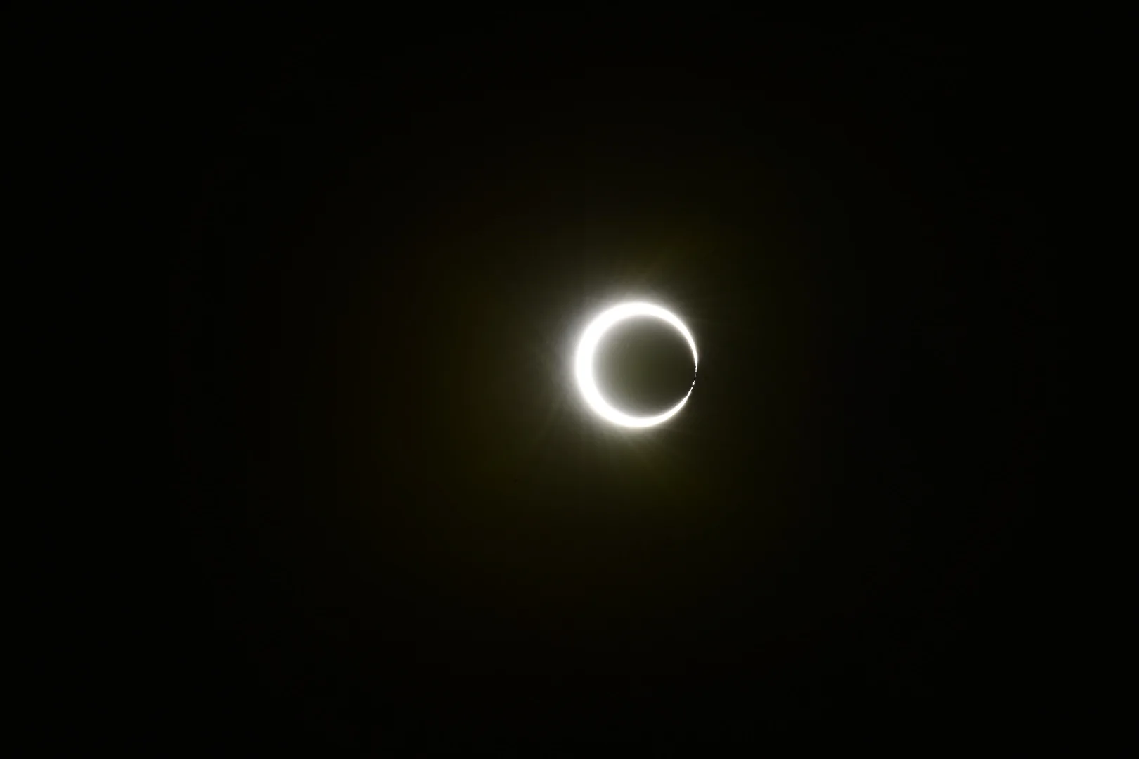 _DSC8931.jpeg