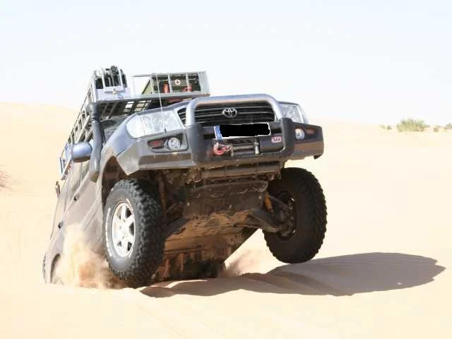 _MG_3684_1.webp