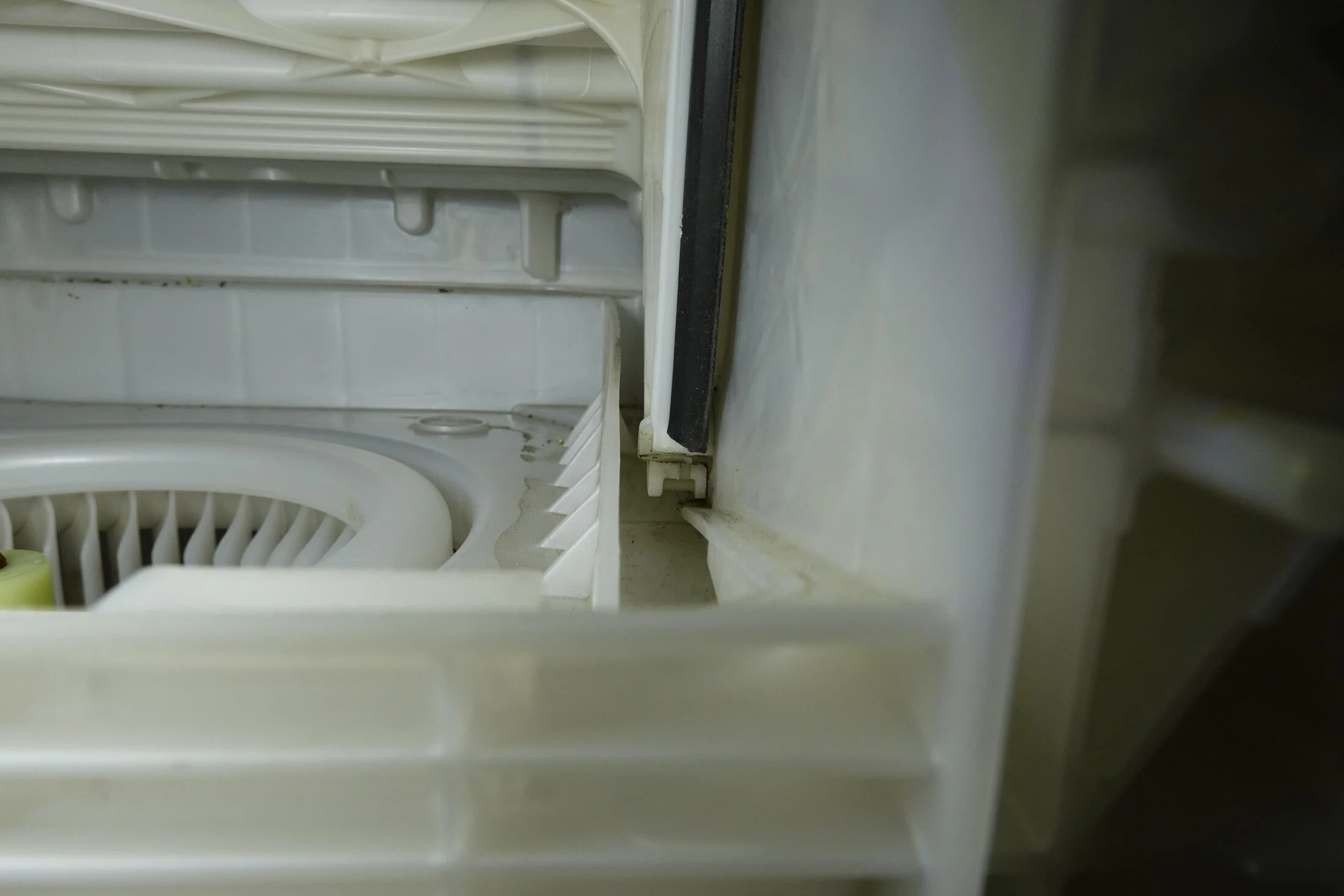 _RX10869.webp