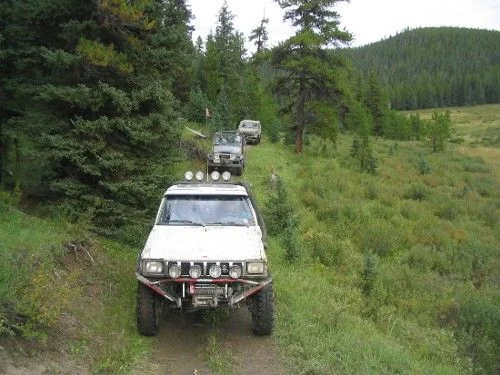 a small group trail shot.webp