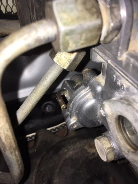 AAP Diaphragm.webp
