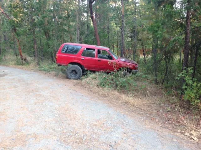 abandoned in Williams.webp