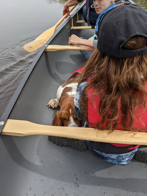 adventure.pup.002.jpg