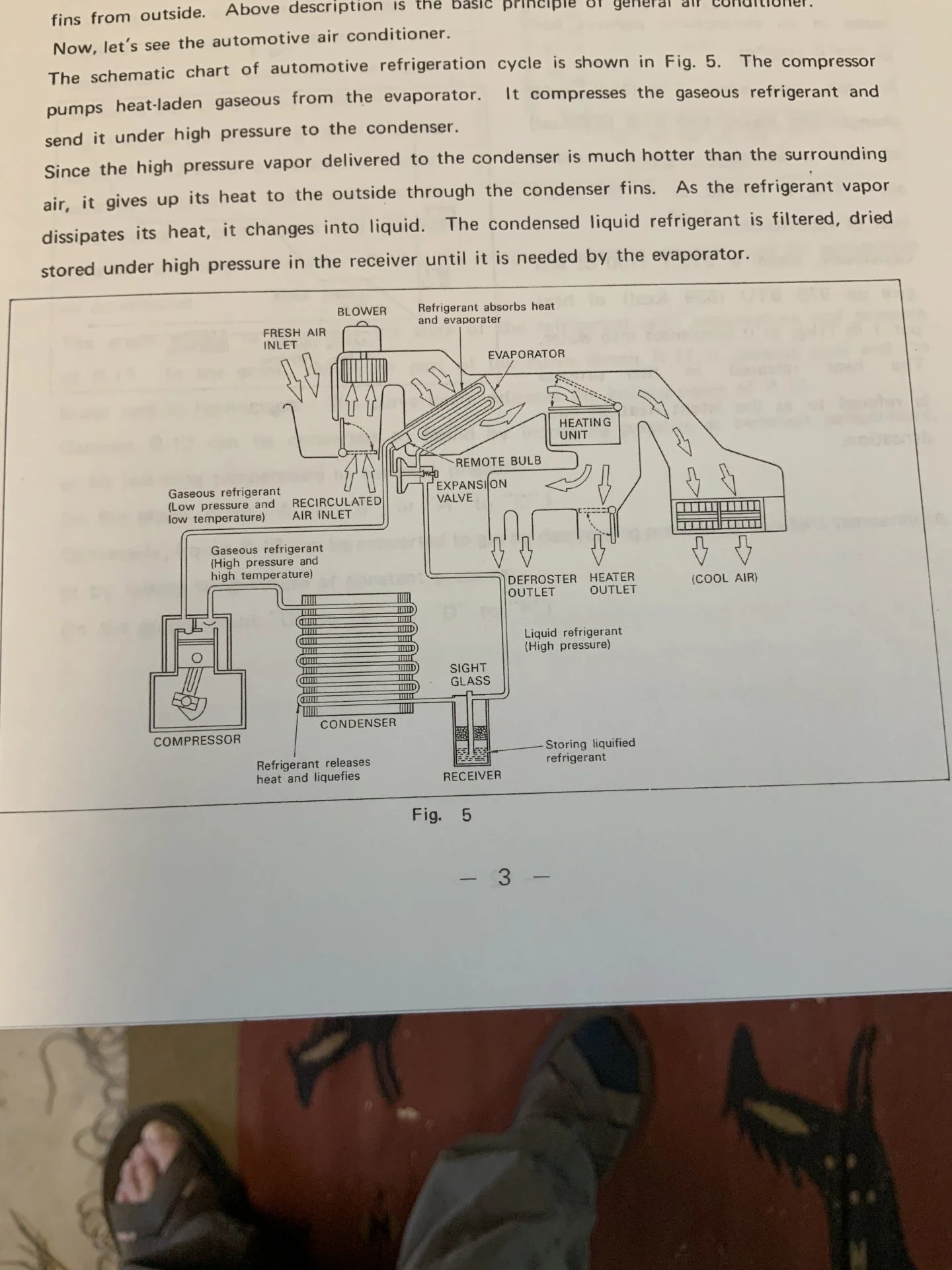 AE2E2284-66DE-4DBA-8417-19BAA587131E.webp