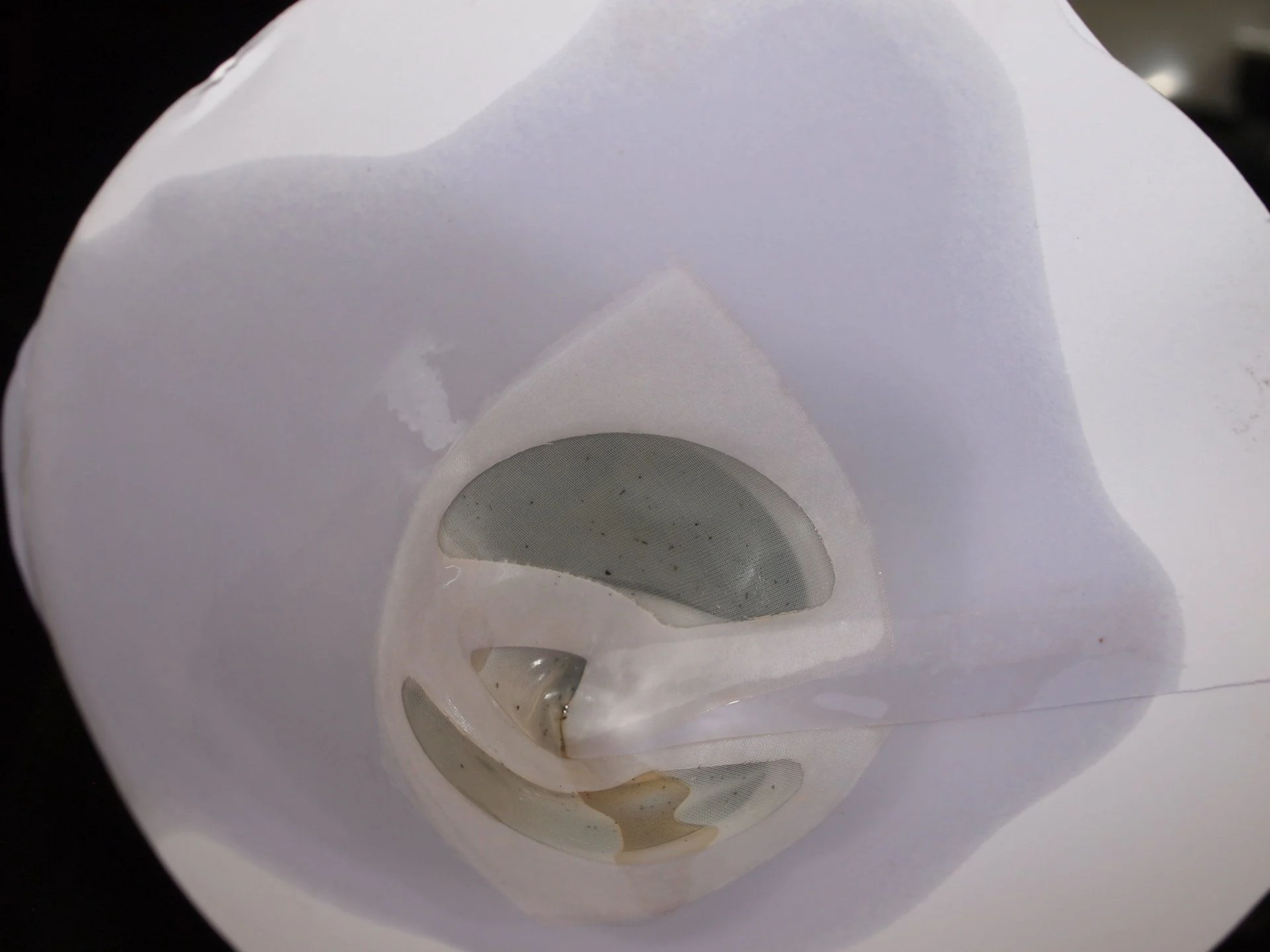 AHC flush (11).webp