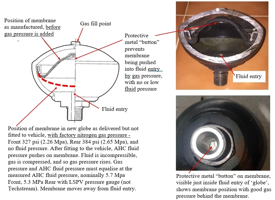 AHC globe internal details.jpg