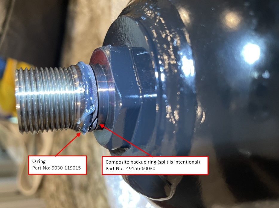 AHC - Globe with O-ring and Backup Ring.jpg