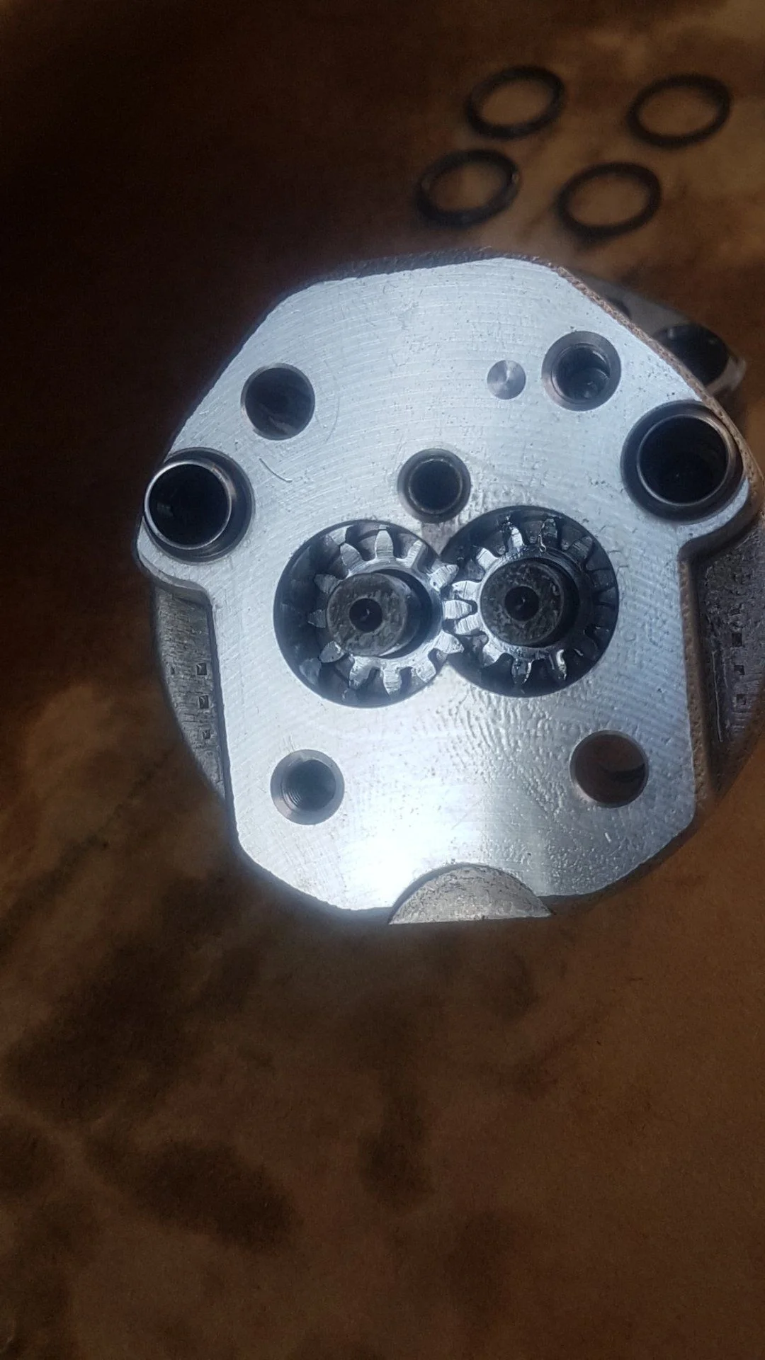 AHC Pump - gears exposed.jpg