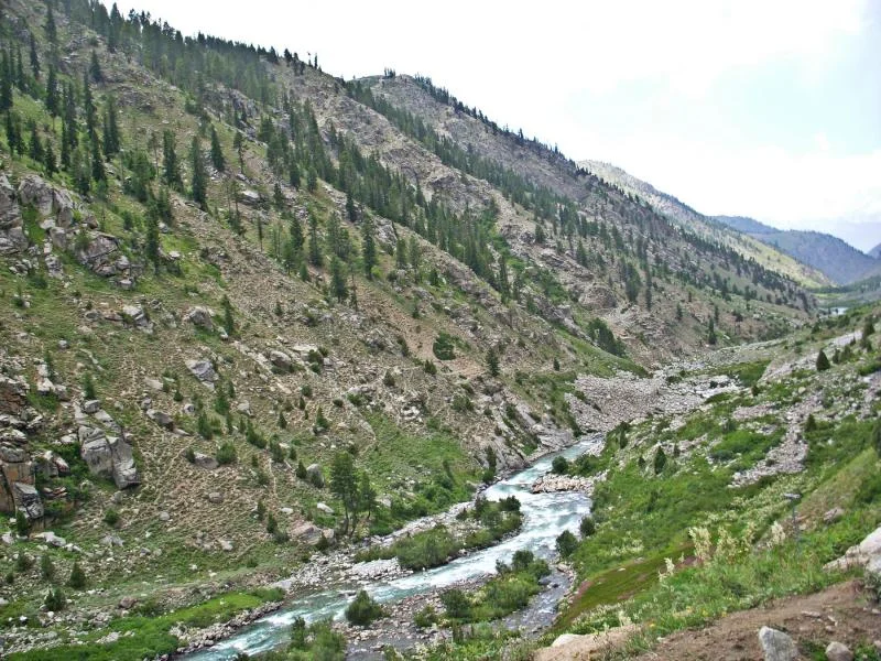 ajab 2 106 (Copy).webp