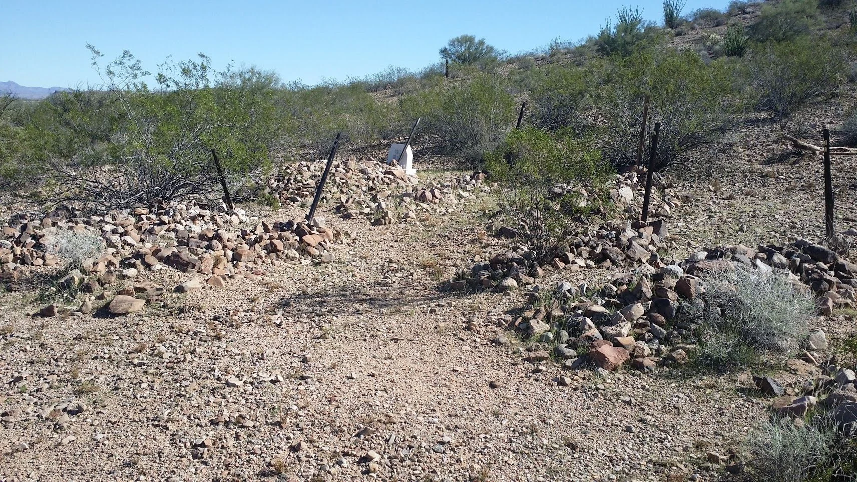 Alamo Graves.webp