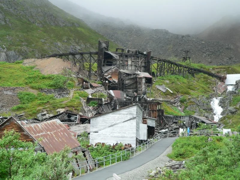 alaska 20372.webp
