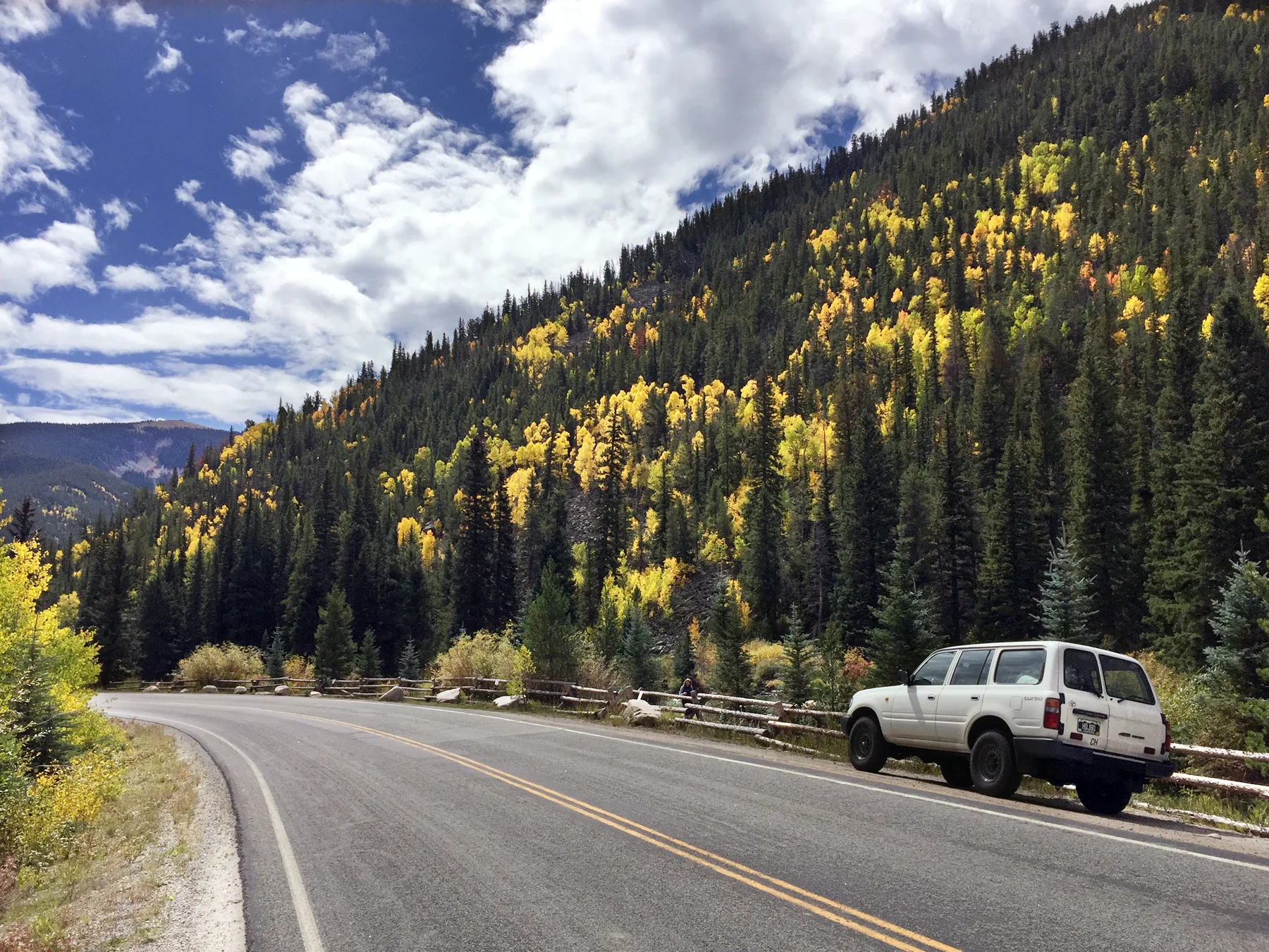 along road.webp