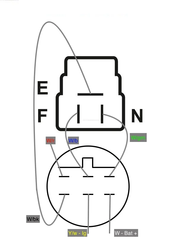 Alt reg plug.webp