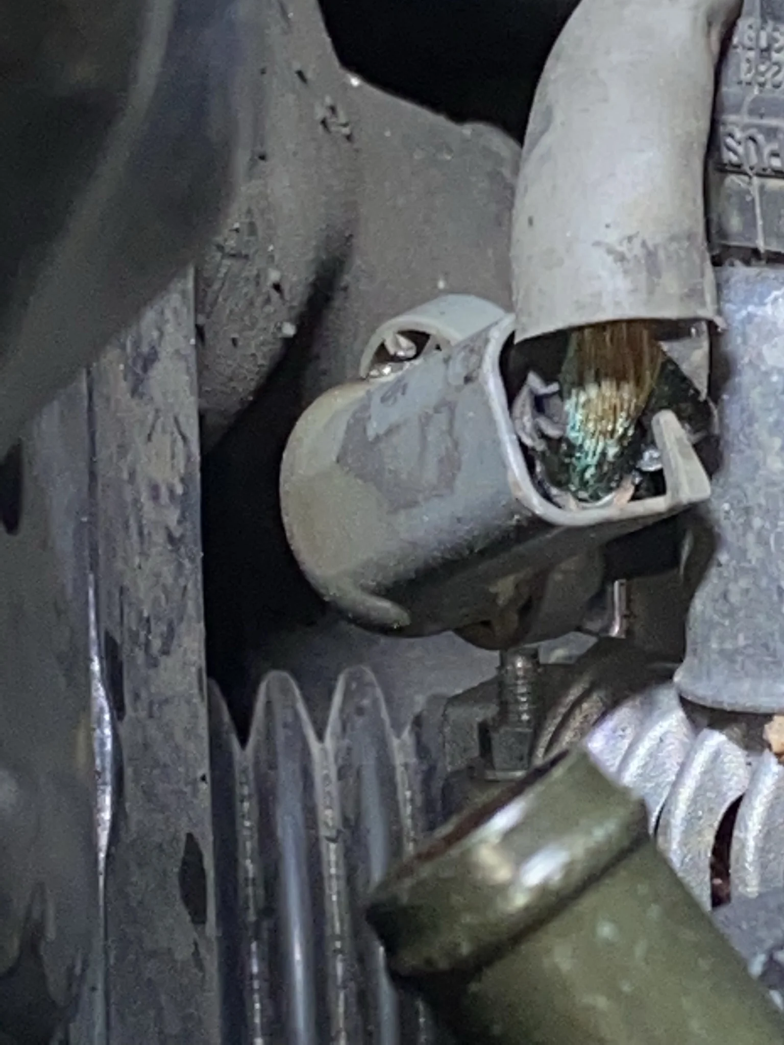 Alternator wire blue.JPEG