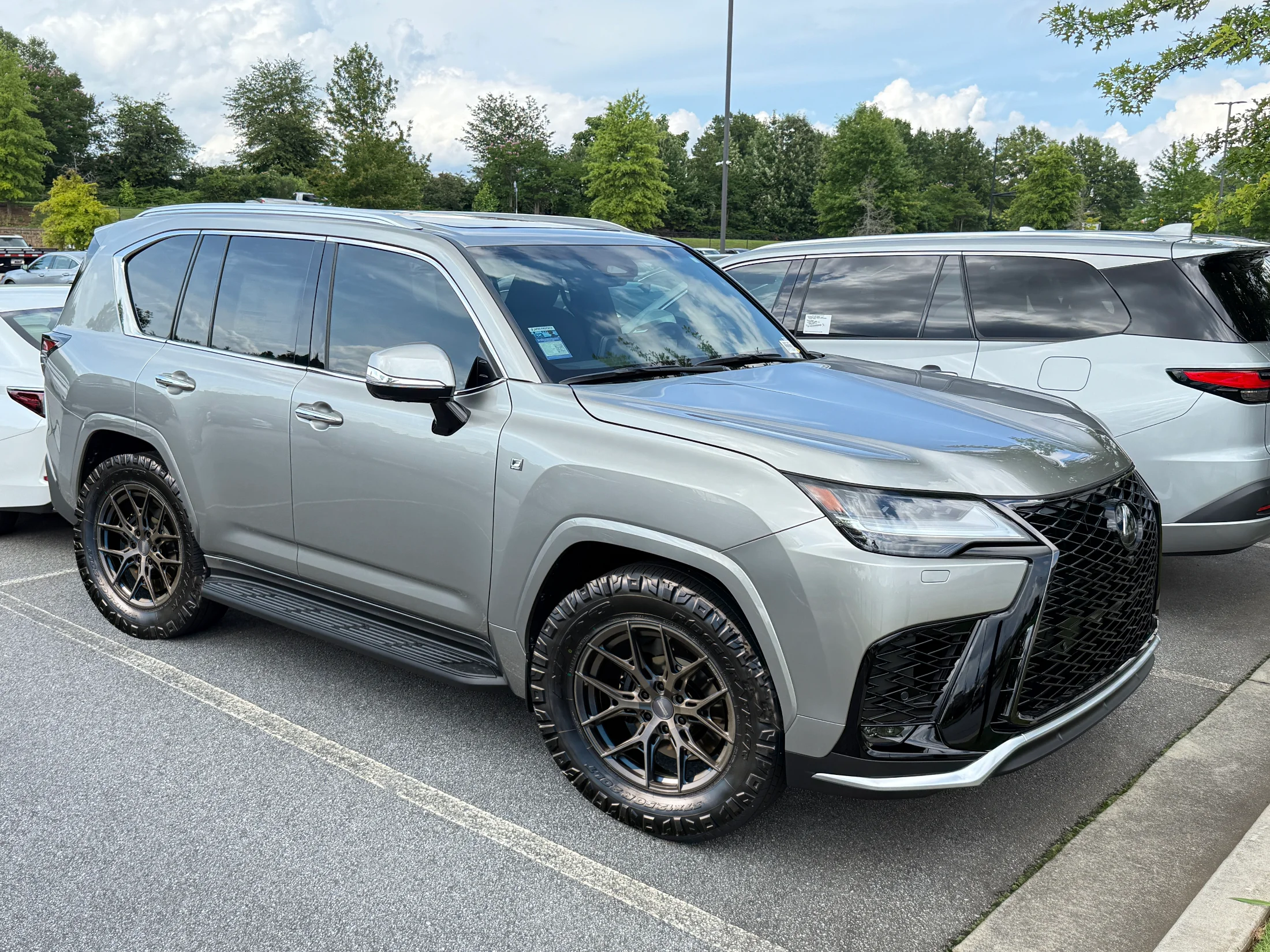 Anthracite vossen.webp