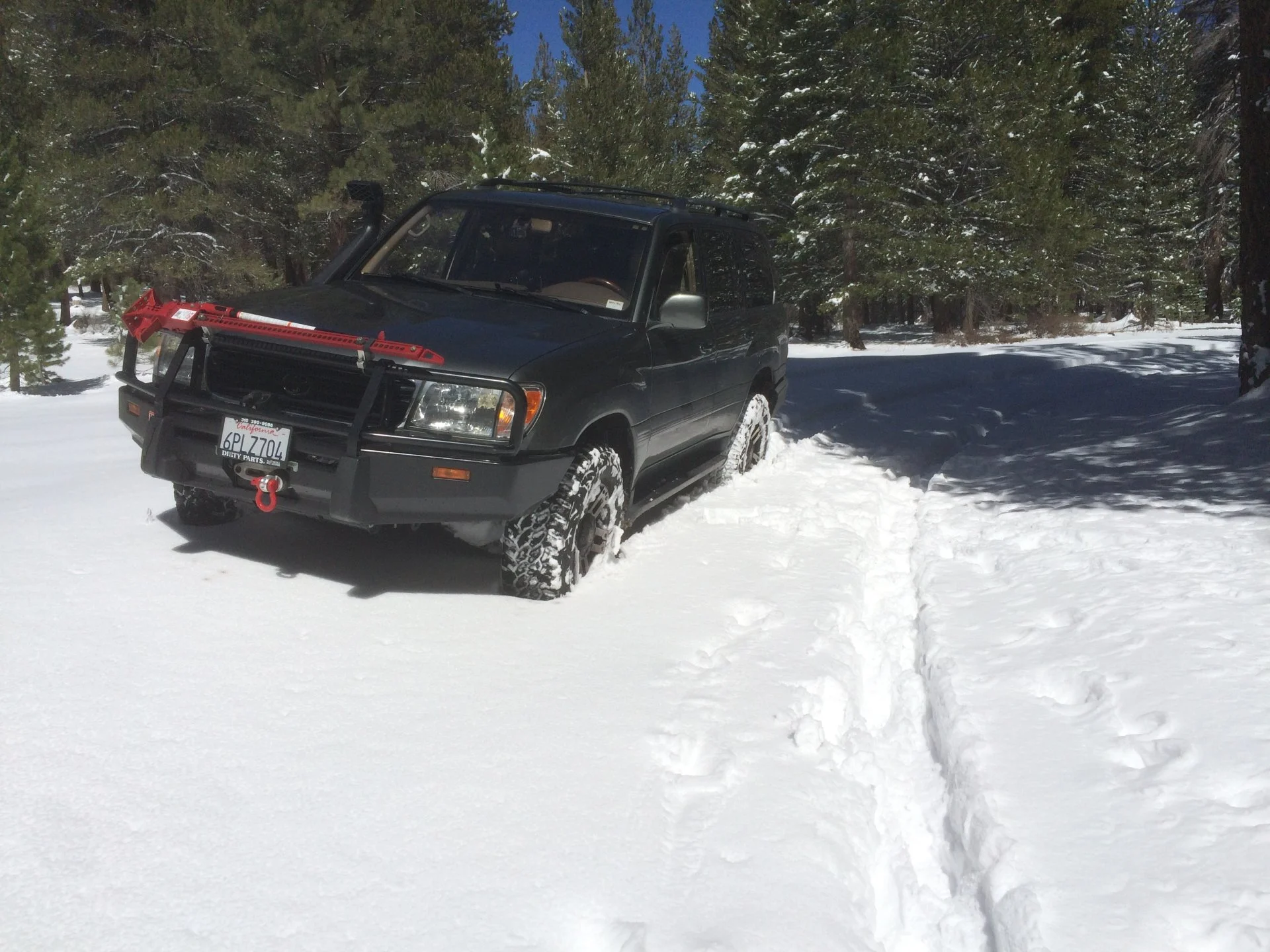 AP Snow.webp