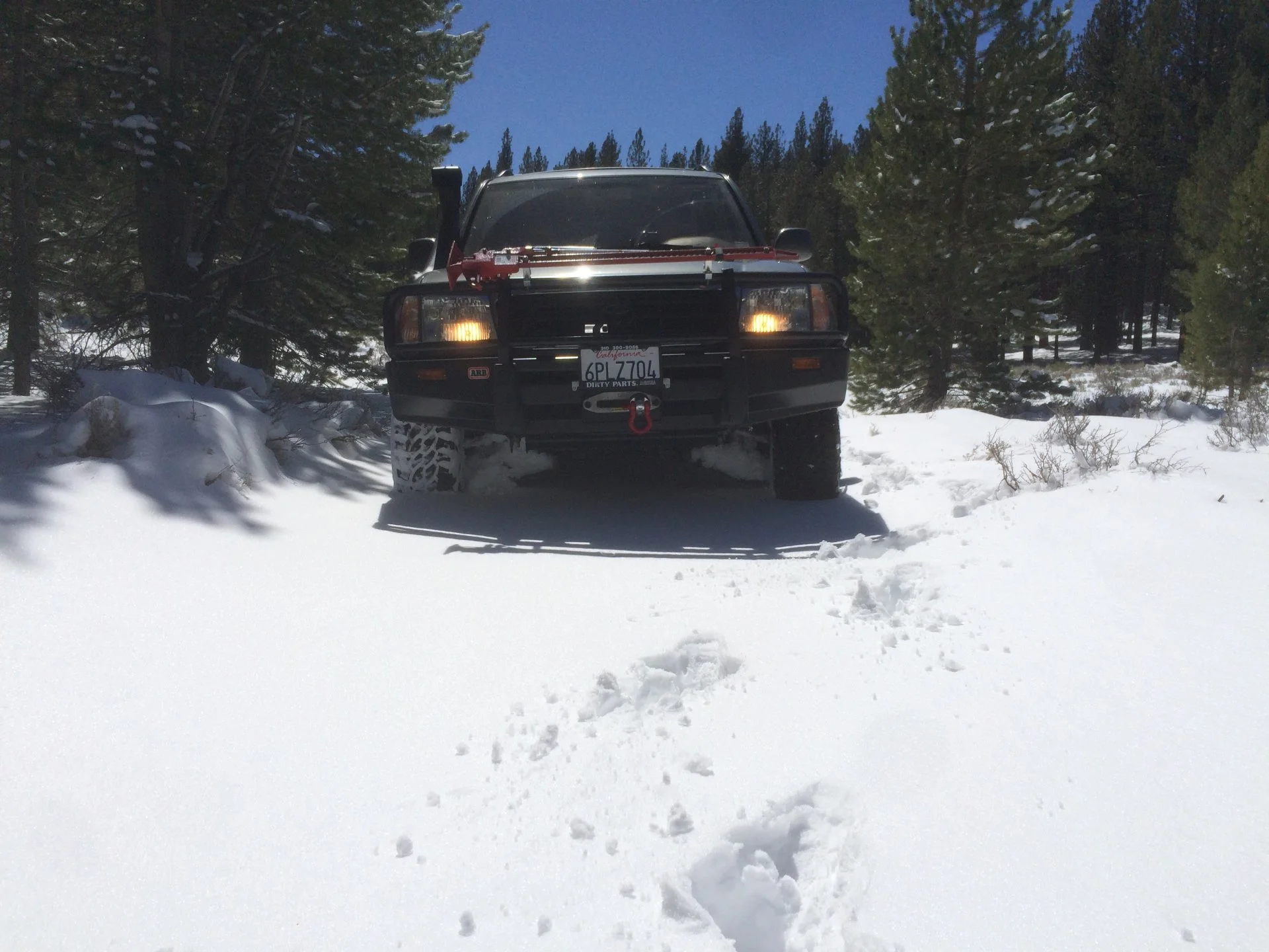 AP Snow2.webp