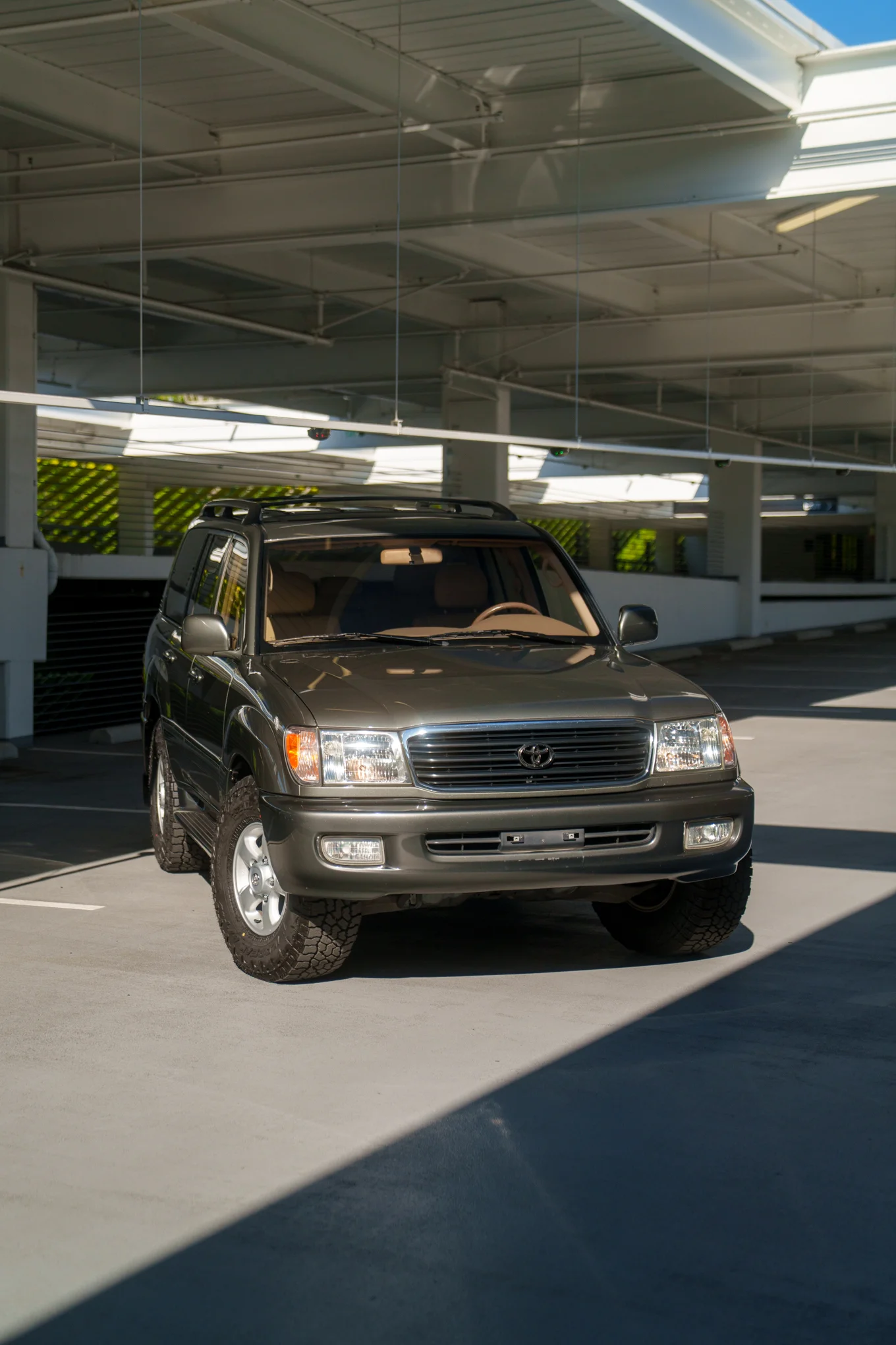 AR505693.webp