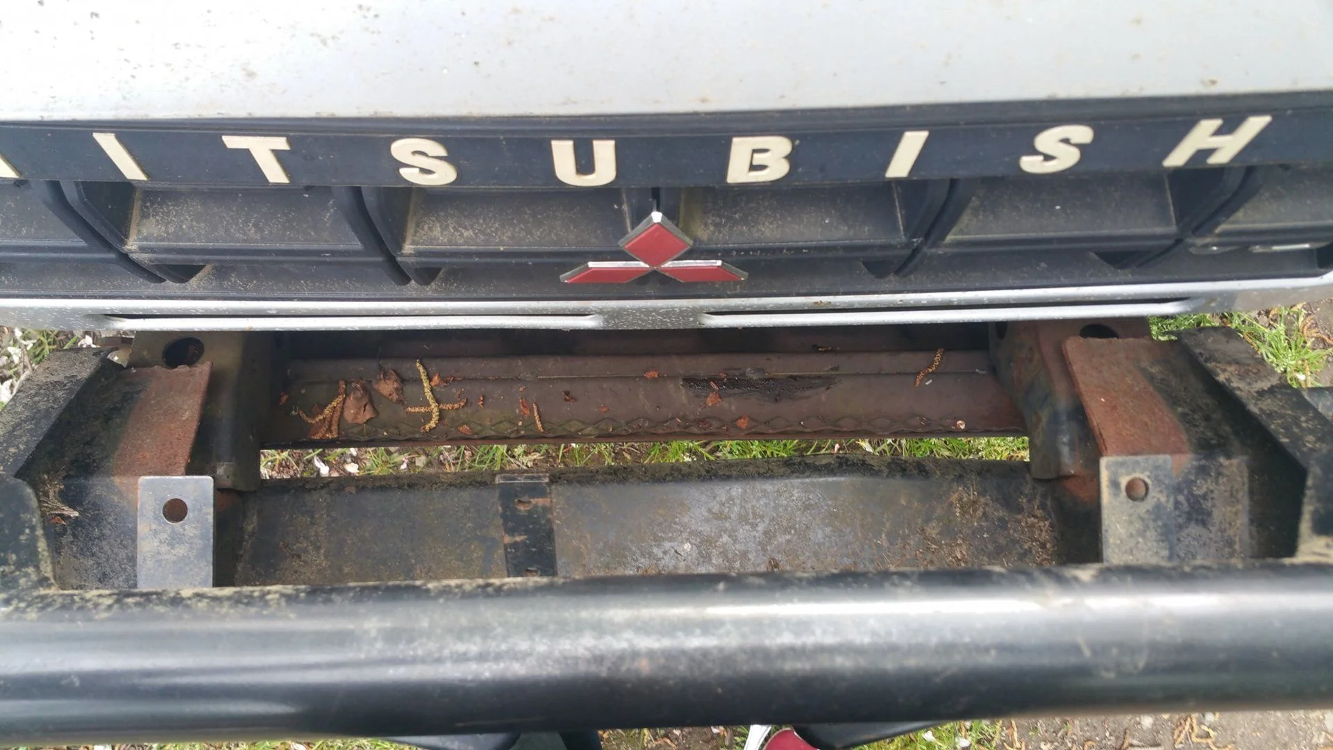 arb02.webp