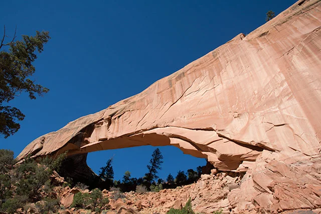 Arch.webp