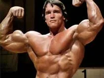 arnold.webp