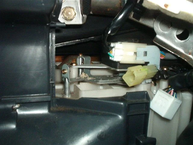 aug 17 002.webp