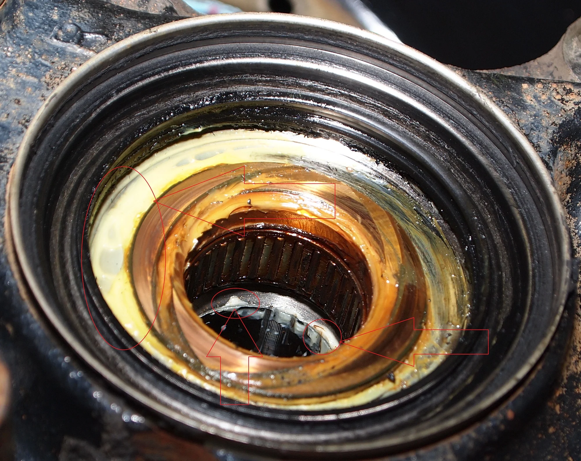 Axle Bearing & Bushing and seal in kunckle 3.webp