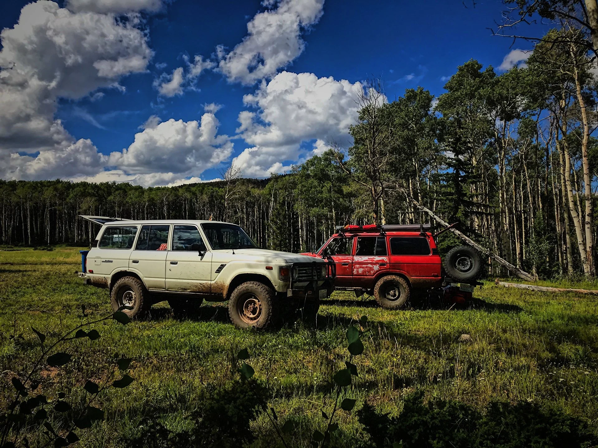 B03EC7FC-C916-411B-9165-159A742EE2F0.jpeg.jpg