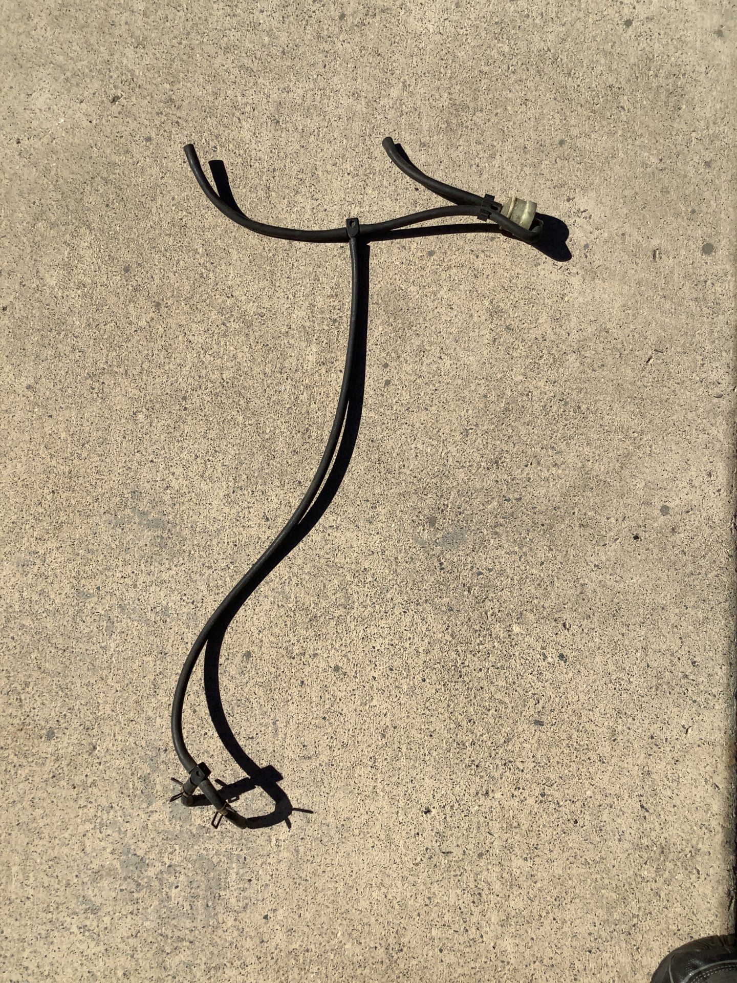 B25B0204-8F69-4233-8AA5-CCF136F3A1F1.jpeg