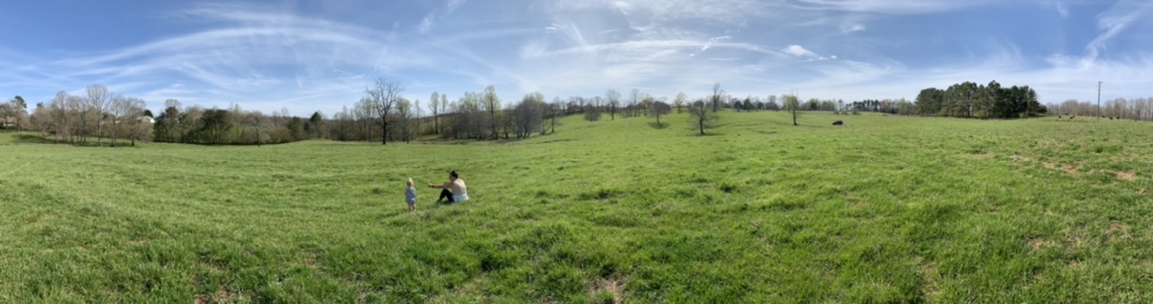 B40521F9-511F-481F-83B0-F7215831273C.jpeg