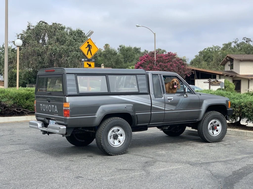 B4516854-C4CF-4859-AE8B-286285A4AC41_1_105_c.jpeg