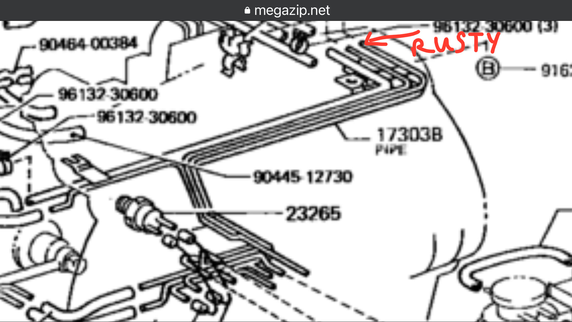 B504F8A7-9EBB-4DE1-A3C6-95995777F579.jpeg