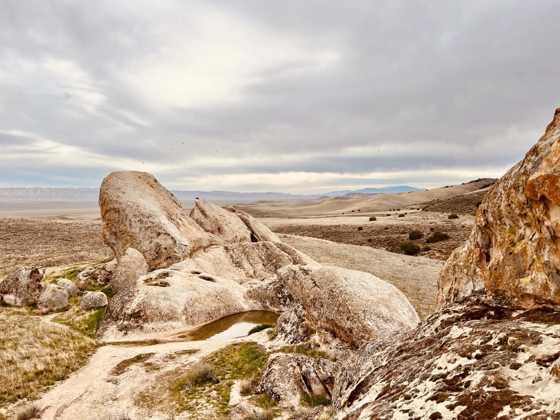 B5824B25-3654-4BC3-ABD1-C74F4B5FAF9D.webp