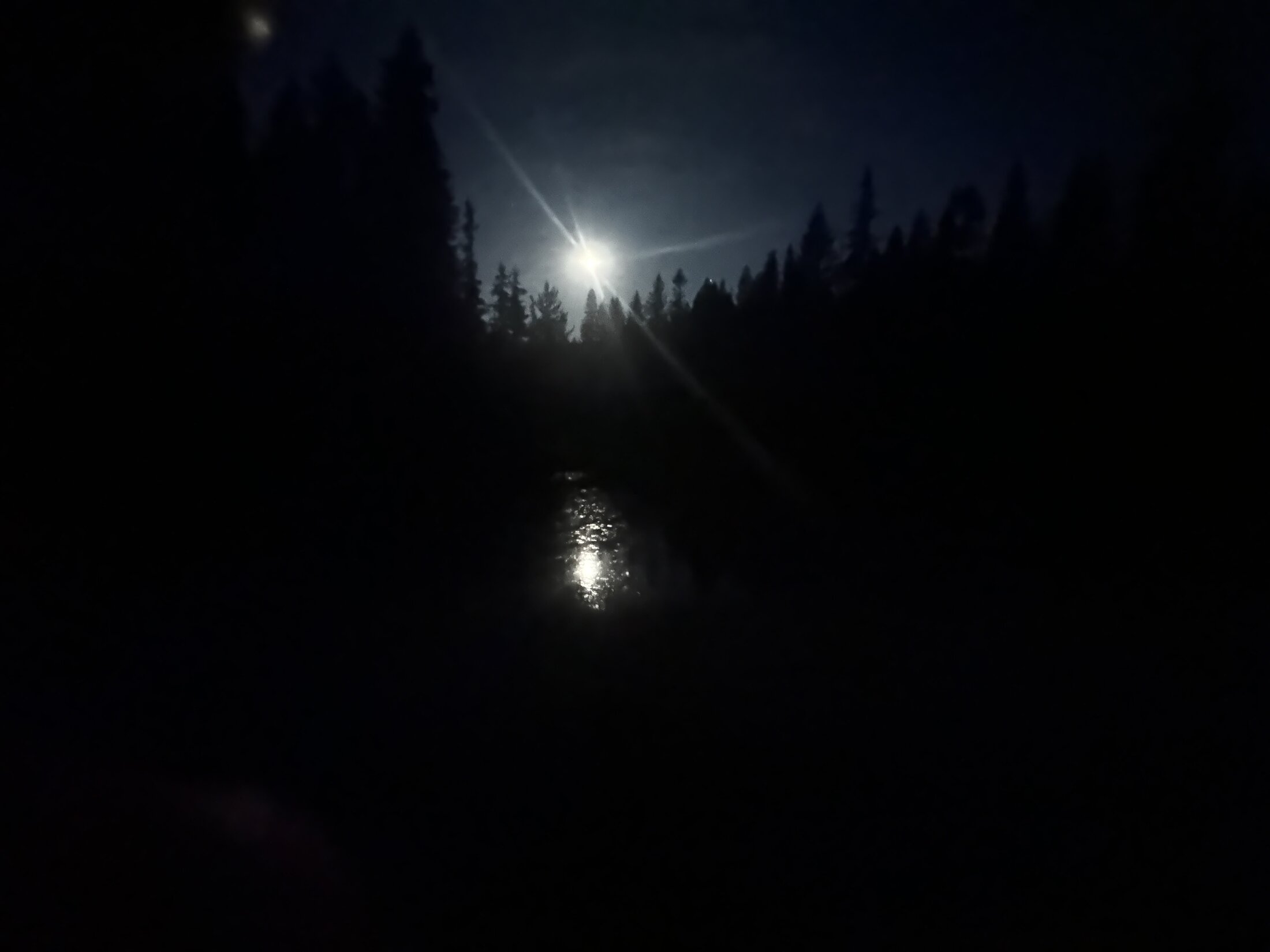 B7D1133E-709A-4ADA-9C1A-4436D735256F.jpeg